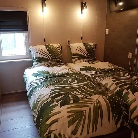 Bed & Breakfast De Palmen