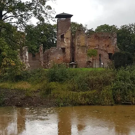 De Palmen * Afferden (Limburg)